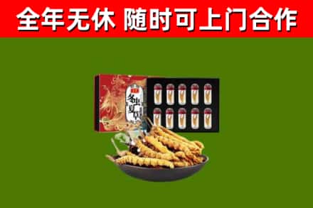 和市回收冬虫夏草价格